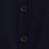 Cardigan Merino prieten