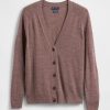 Cardigan Merino prieten