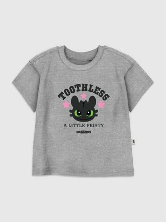 Copilul mic Cum să-ți antrenezi dragonul Toothless Fiesty Tricou grafic